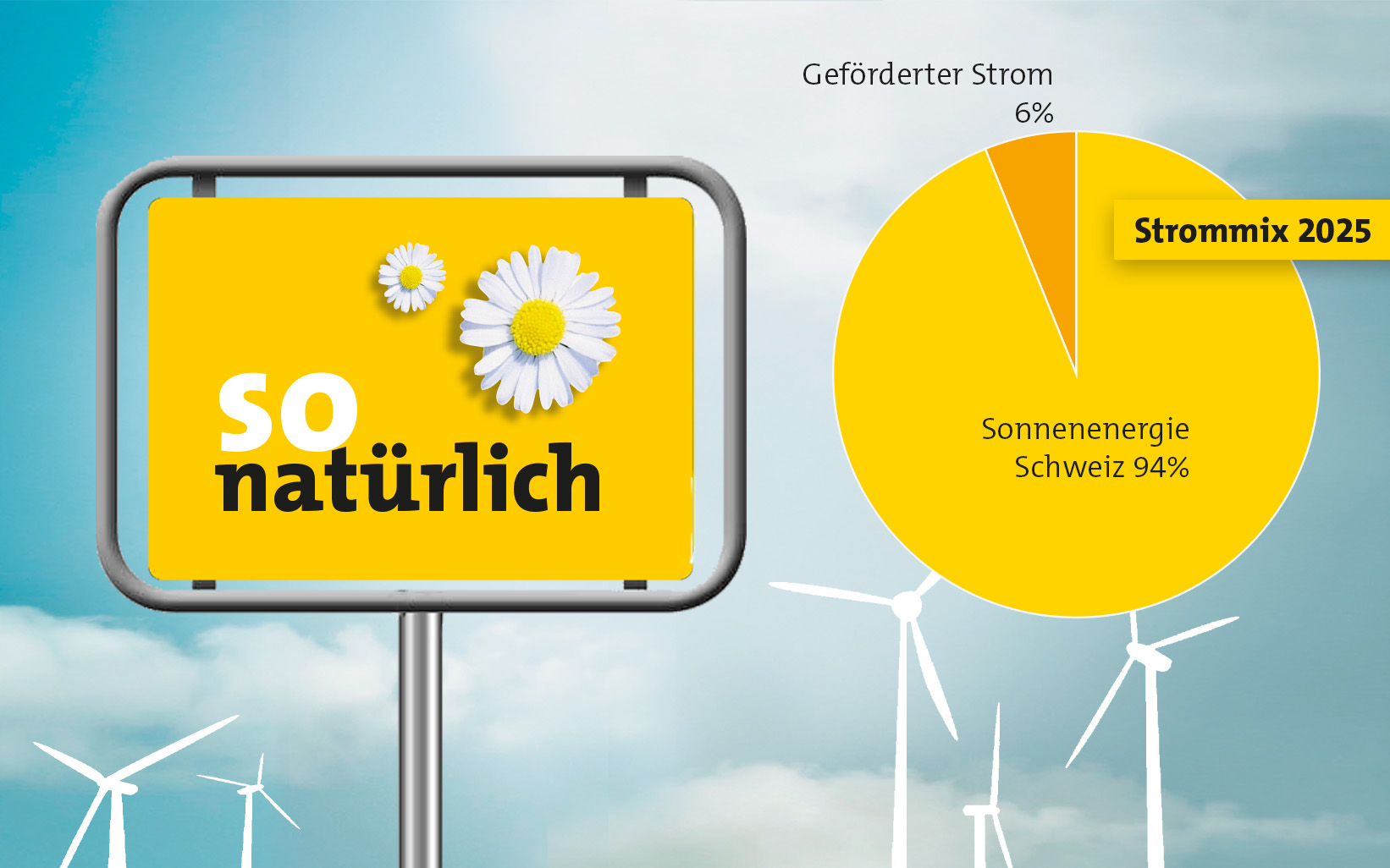 Logo so natürlich mit Diagramm Stromkennzeichnung